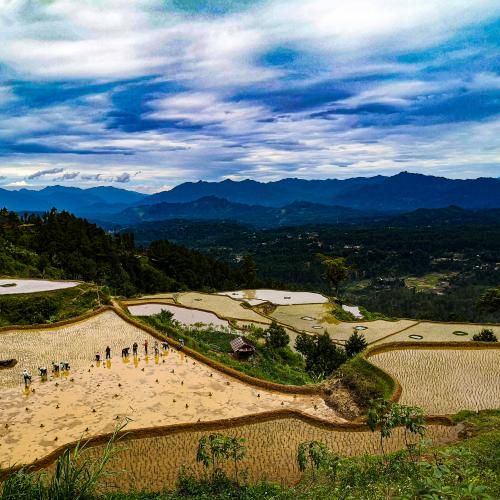 Coffe Plantation & Small Villages Trekking