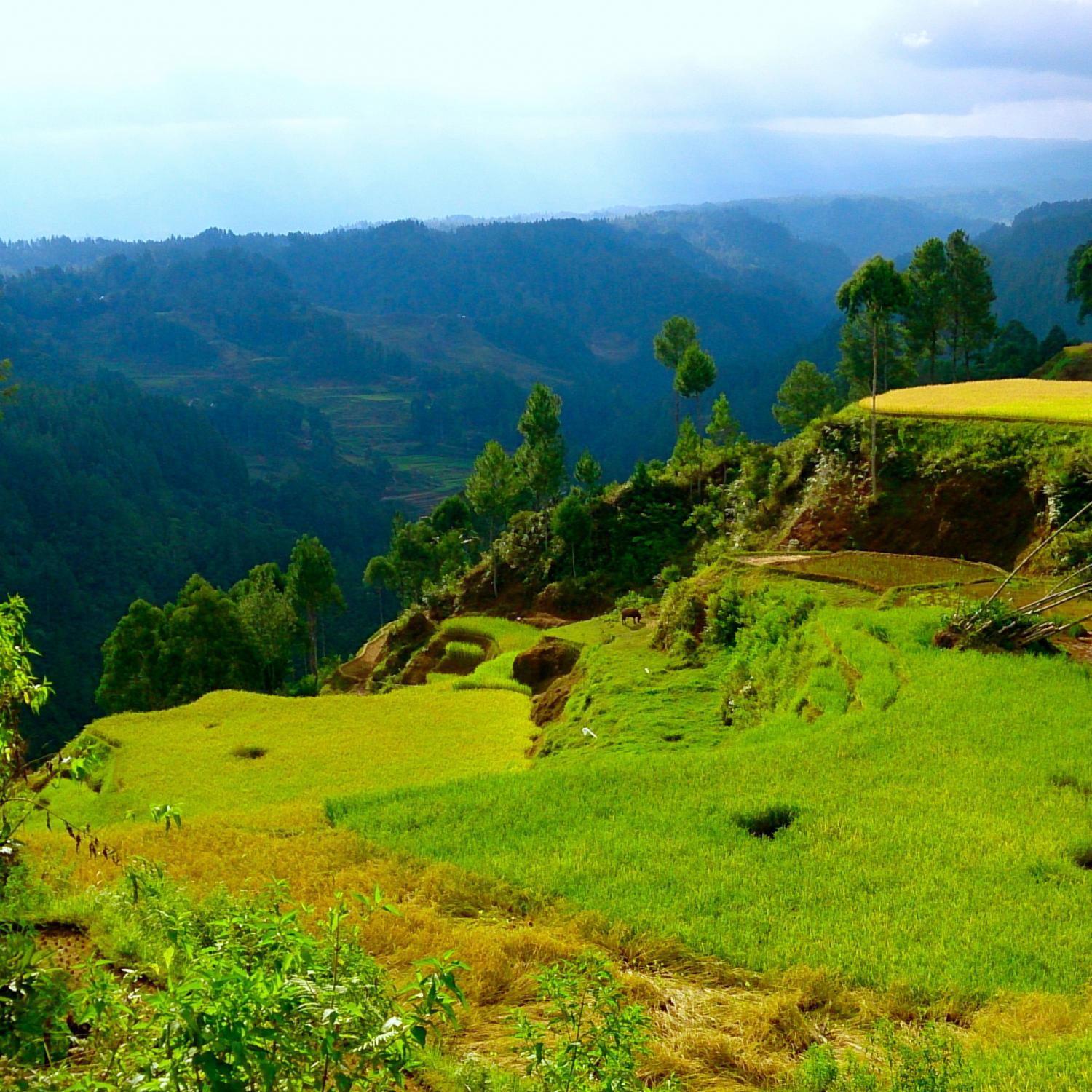 Suara Air. Best boutique  hotel in Tana Toraja